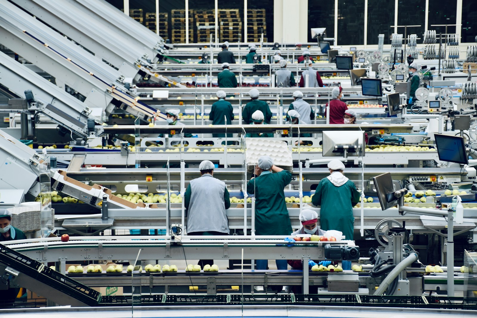 a group of people in a factory, manufacturing